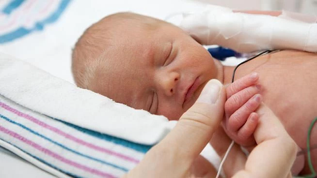 Holding premature baby's hand in the NICU