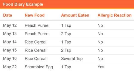 Food Diary Example