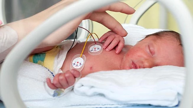 Mom comforting preemie baby in an incubator